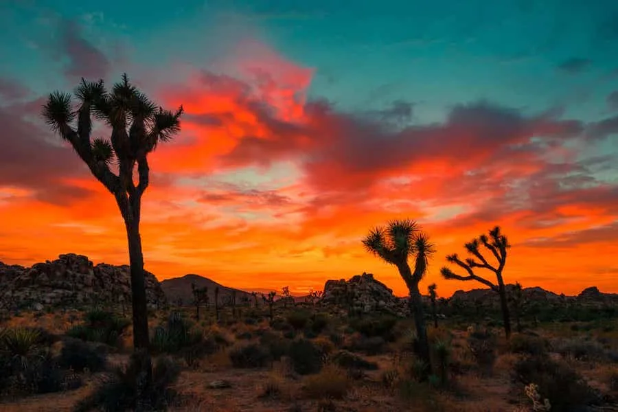Twilight Hour - Big Sky