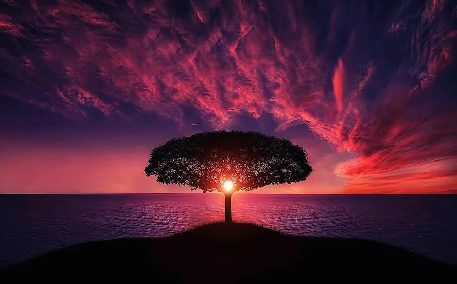 Twilight Hour - Time Stands Still