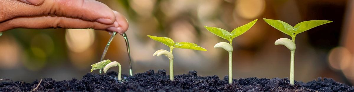 college degree online why not